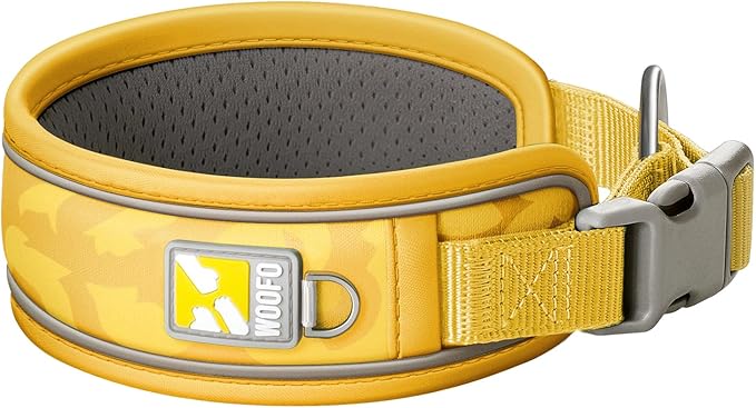 Premium Dog Collar