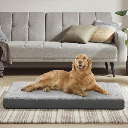 Friends Forever Orthopedic Dog Bed 44x32x3.5