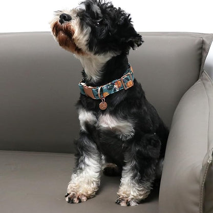 Peach Summer Cotton Dog Collar with Metal Buckle