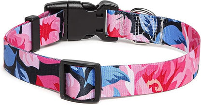 Adjustable Dog Collar with Patterns