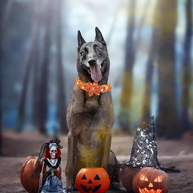 Elegant little tail Halloween Dog Collar