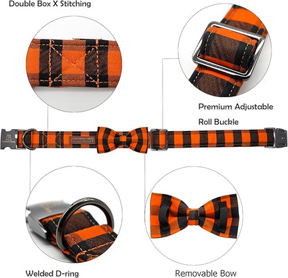 Lionheart glory Dog Collar Fall Dog Collars