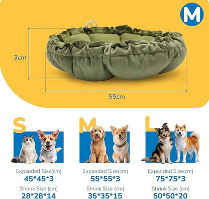 Dog Beds for Small Dogs
