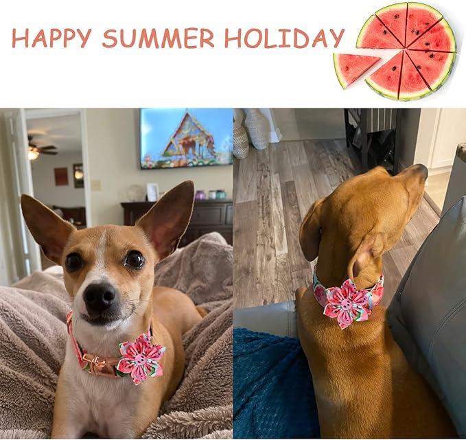 Unique style paws Dog Collar with Flower Tie Cotton Watermelon Collar Adjustable Summer Collar for Small Medium Large Dogs