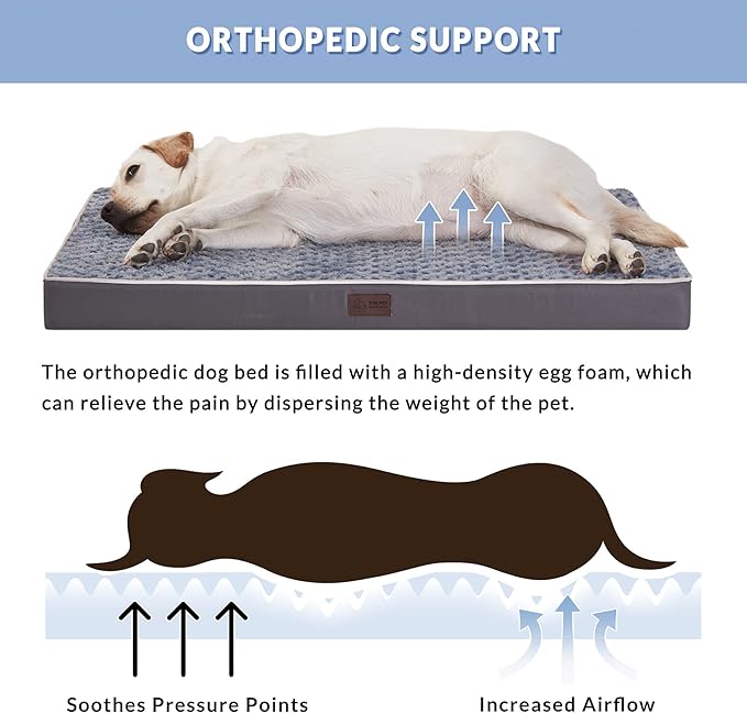 Orthopedic Large Dog Bed for Large Dogs