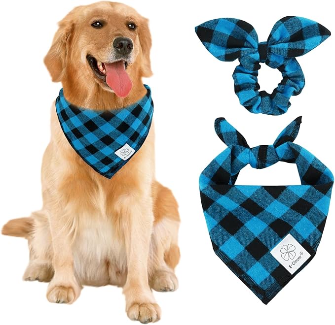 E-Clover Dog Bandanas & Matching Scrunchie Boy Dog