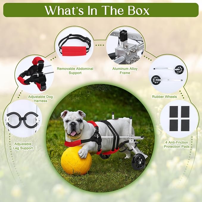 Dog/Cat Wheelchair for Back Legs