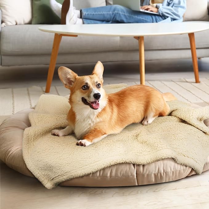 furrybaby Dog Blanket Soft Dog Blankets for Large Dogs Puppy Essentials Washable Sherpa Fleece Cat Blanket 32x40 Inches for Bed Furniture Couch Sofa (Medium