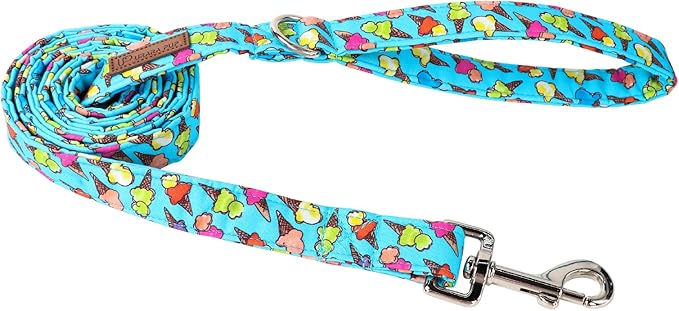 Summer Dog Leash Match Summer Dog Collar
