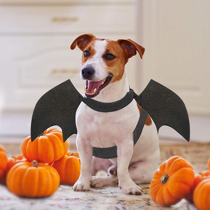 Rypet Dog Bat Costume - Halloween Pet Costume Bat Wings Cosplay Dog Costume Cat Costume for Party S