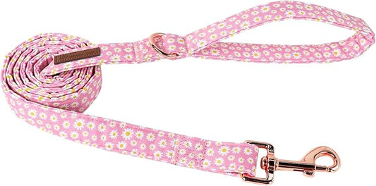 Summer Dog Leash Match Summer Dog Collar