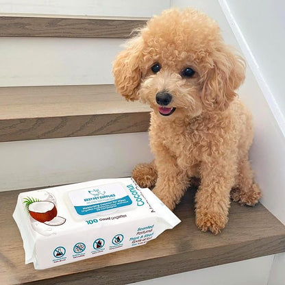 Best Pet Supplies 8" x 9" Pet Grooming Wipes for Dogs & Cats 100 Pack,