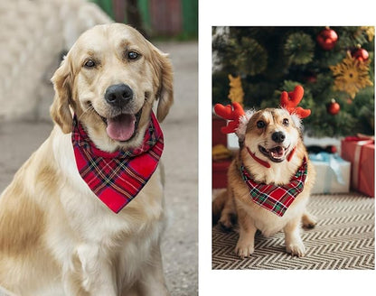 Birthday Plaid Dog Bandana with Button