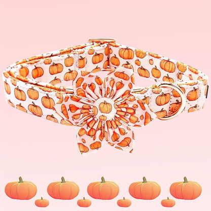 Elegant little tail Halloween Dog Collar