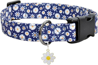 Flower Patterns Dog Collar with Accessories