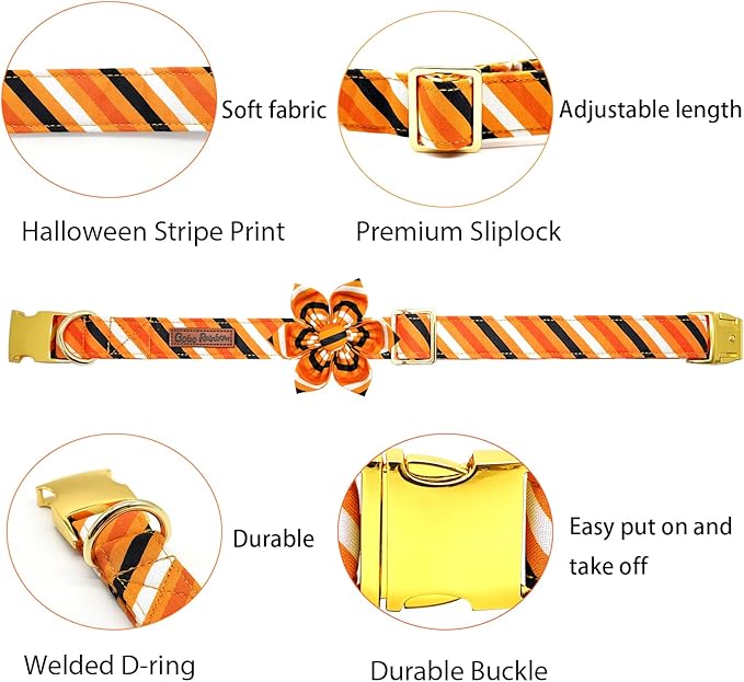 Elegant little tail Halloween Dog Collar