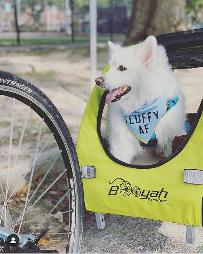 Booyah Medium Dog Stroller & Pet Bike Trailer with Suspension