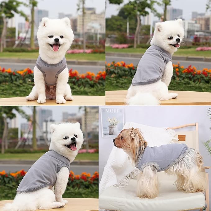 Dog Shirt Vest Clothes for Small Dogs Boy Girl Summer Solid Stretchy Puppy T-Shirts Soft Cool Breathable Lightweight Dog Sweatshirt Pet Cat Outfit