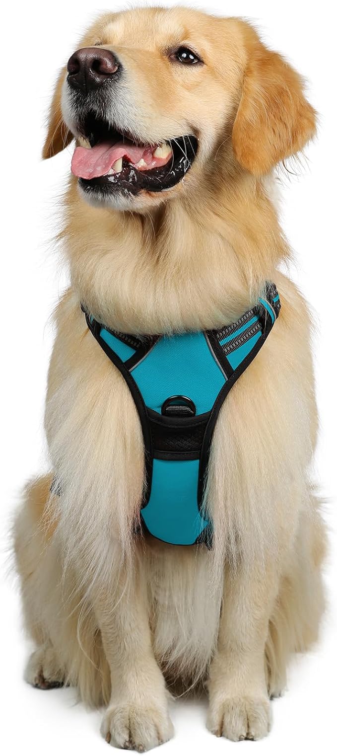 rabbitgoo Dog Harness, No-Pull Pet Harness with 2 Leash Clips, Adjustable Soft Padded Dog Vest, Reflective No-Choke Pet Oxford Vest with Easy Control Handle for Large Dogs, Teal, XL