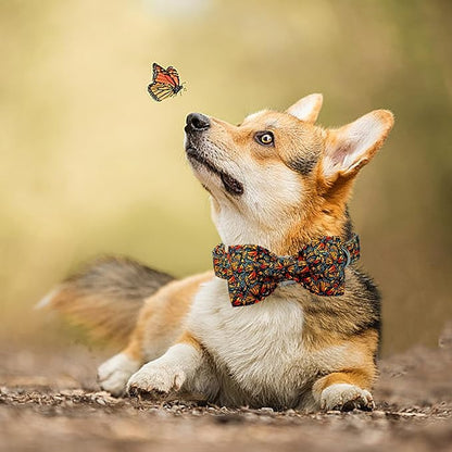 Lionheart glory Fall Dog Collar with Bowtie Butterfly Print Dog Collars Heavy Soft Adjustable Dog Collar for Large Dogs Male/Female Dog Bow Collar Pet Gift
