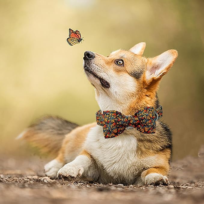Lionheart glory Fall Dog Collar with Bowtie Butterfly Print Dog Collars Heavy Soft Adjustable Dog Collar for Small Dogs Male/Female Dog Bow Collar Pet Gift