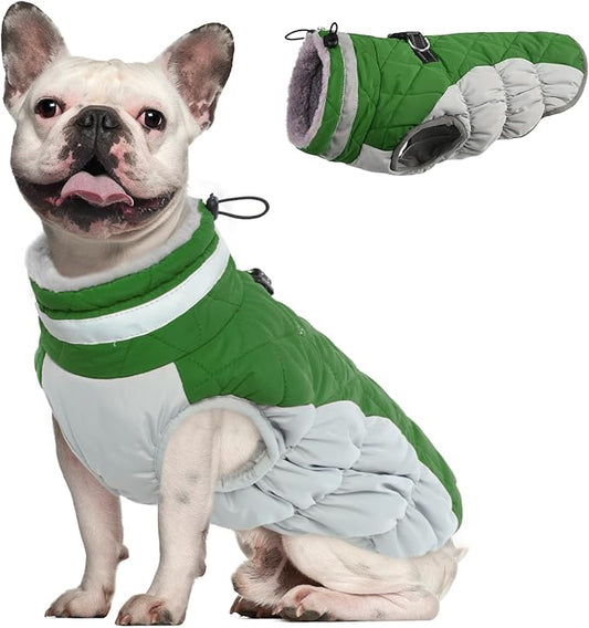 Dog Coat