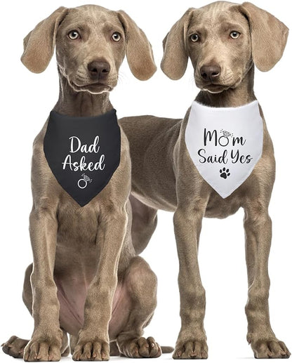 Dad Asked and Mom Said Yes Dog Bandana 2