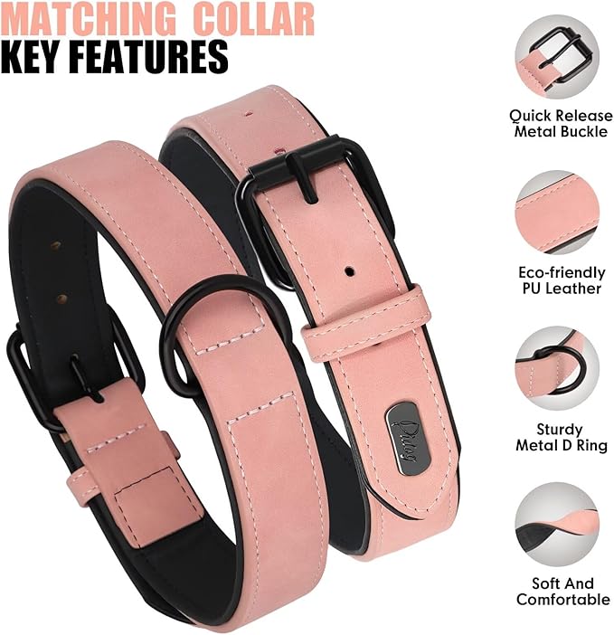Didog Soft Padded Leather Dog Collar and Leash Set 4FT Leather