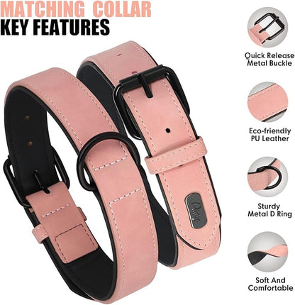 Didog Soft Padded Leather Dog Collar and Leash Set 4FT Leather