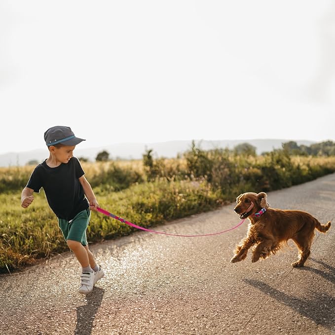 Waterproof Dog Leash Carabiner Leash for Dogs Soft 5ft*15mm*2.0mm Pink