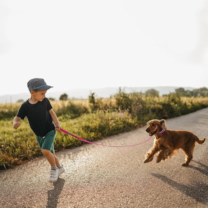 Waterproof Dog Leash Carabiner Leash for Dogs Soft 5ft*15mm*2.0mm Pink