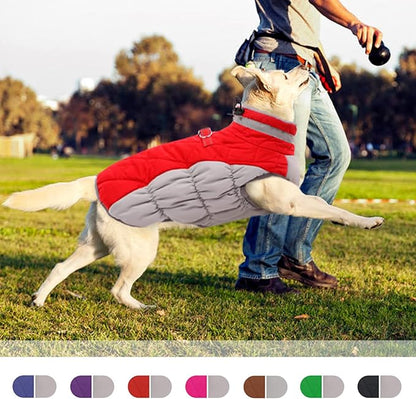 Dog Coat