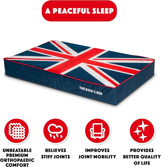 The Dog’s Bed Orthopedic Memory Foam Dog Bed 46x28, Pain