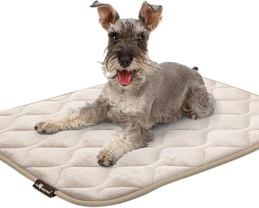 Paw Inspired Washable Padded Crate Mats for Dogs 35” x 22” Pad, 36-inch Kennels
