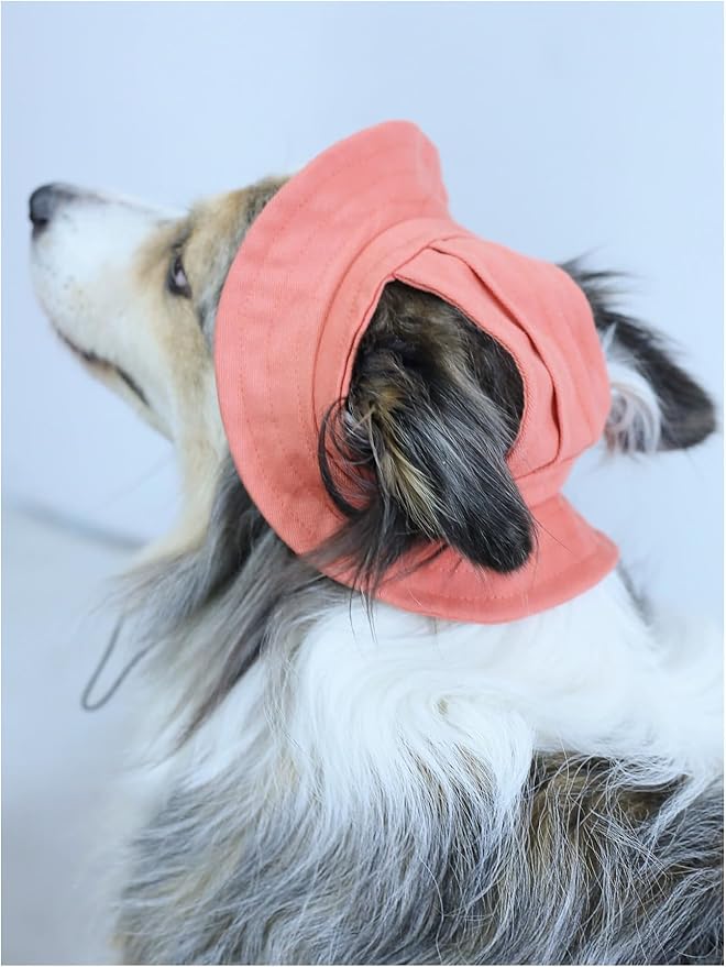 Generic Solid Dog Hat with Ear Hole Round