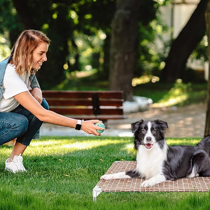 Elevated Dog Bed
