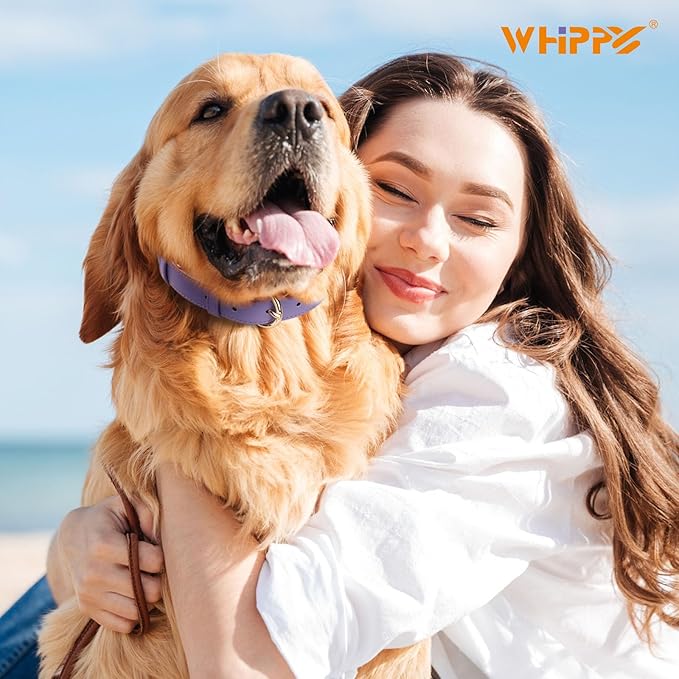 WHIPPY Soft Padded Leather Dog Collar for Small Medium Large Dogs Heavy Duty Dog Collar with Adjustable Rust-Proof Metal Hardware