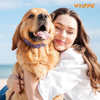 WHIPPY Soft Padded Leather Dog Collar for Small Medium Large Dogs Heavy Duty Dog Collar with Adjustable Rust-Proof Metal Hardware