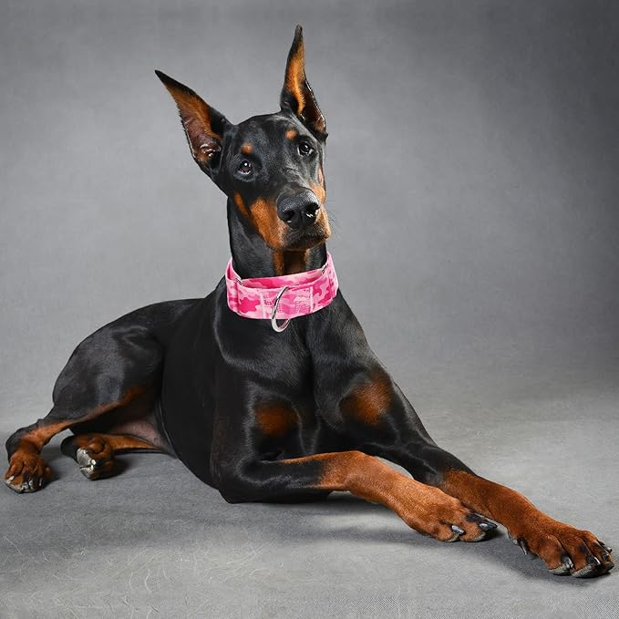 1.5 Inches Martingale Collar for Dogs