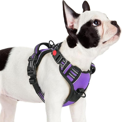 rabbitgoo Dog Harness Small Sized, No Pull Pet Harness with 3 Buckles, Adjustable Soft Padded Dog Vest with Instant Control Handle, Easy Walking Reflective Pet Vest for Small Dogs, Purple, S