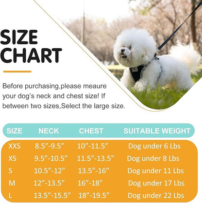 Dog Harness and Leash Set, No Pull Pet Harness for Small Dogs Easy Walking,Soft Breathable Small Dog Harness,Adjustable Reflective Step in Vest Harness for Puppy,Kitten, Cats