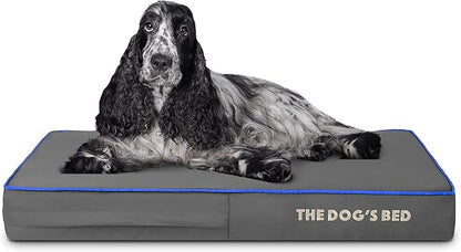 The Dog’s Bed Orthopedic Memory Foam Dog Bed 34x22, Pain