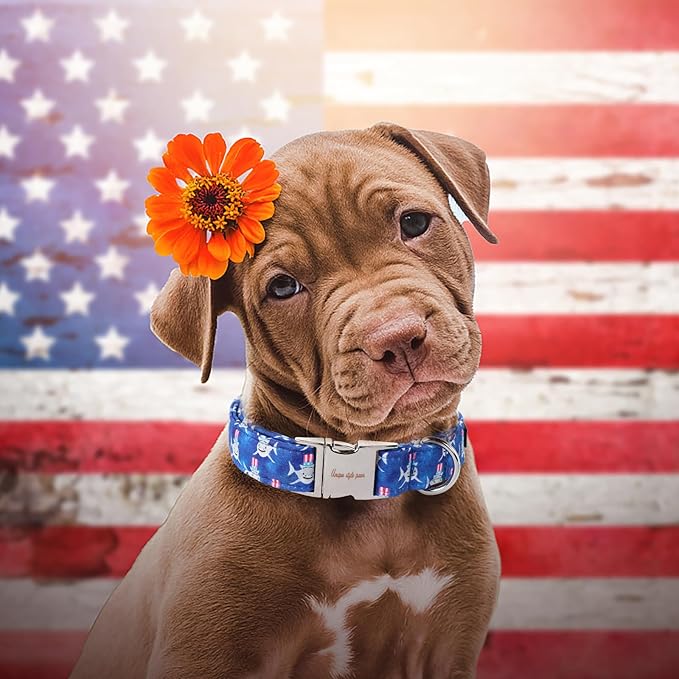 Unique style paws Dog Collar Metal Buckle Collar