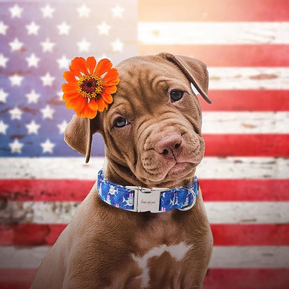 Unique style paws Dog Collar Metal Buckle Collar