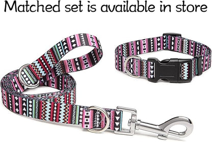 Adjustable Dog Collar with Patterns