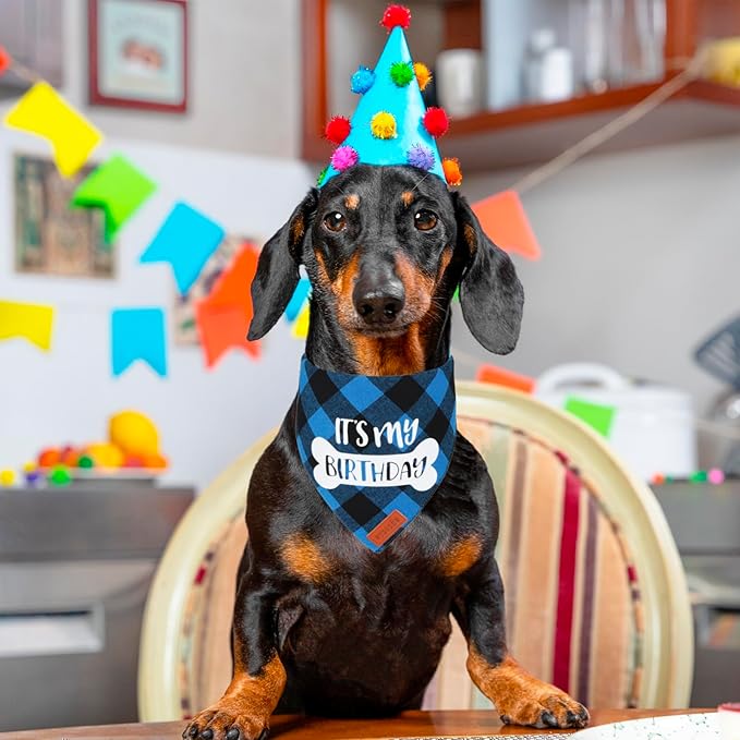 PTDECOR Dog Birthday Party Supplies