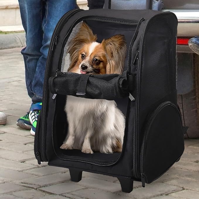 Critter Sitters Rolling 4-Wheel Pet Backpack Suitcase for Small Dogs, Cats with Scratch Resistant Breathable Mesh Window, Airline Carry-On Approved, Safety Leash, Animal Carrier Backpack