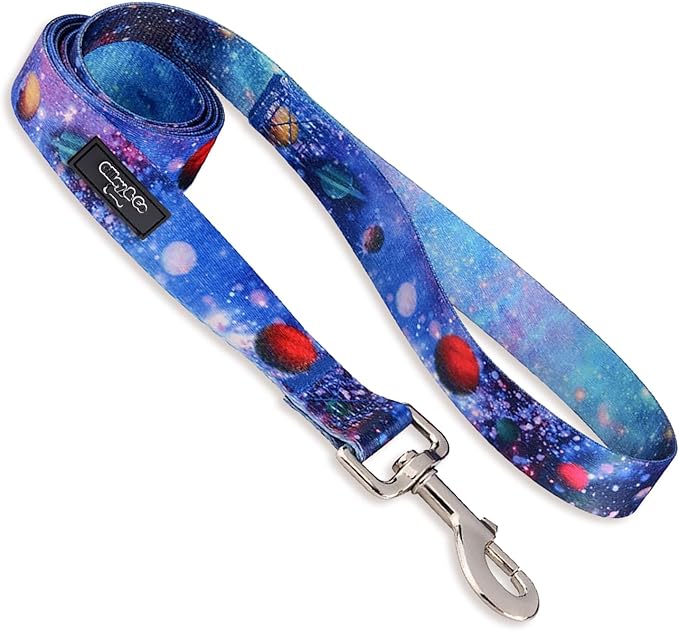 Gilley&Co Dog Collar and Leash Set 8 Designs, 4 Sizes