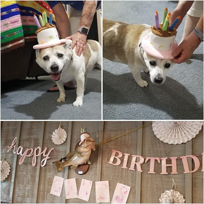 Namsan Holiday Pet Costume Cat Birthday Hat Small Dog Birthday Cake Hat Dog Birthday Party Supplies