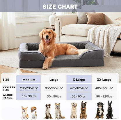 INVENHO Orthopedic Dog Bed for Medium Dogs